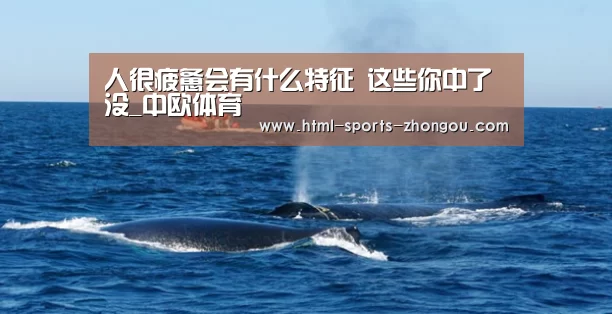 中欧体育官网