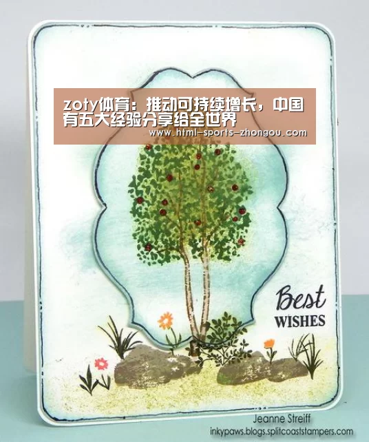 zoty体育:推动可持续增长,中国有五大经验分享给全世界(图3) 中欧体育官网