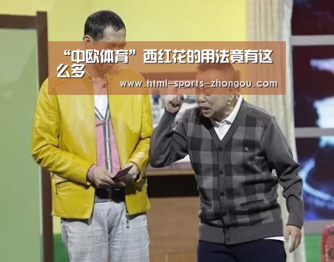 “中欧体育”西红花的用法竟有这么多