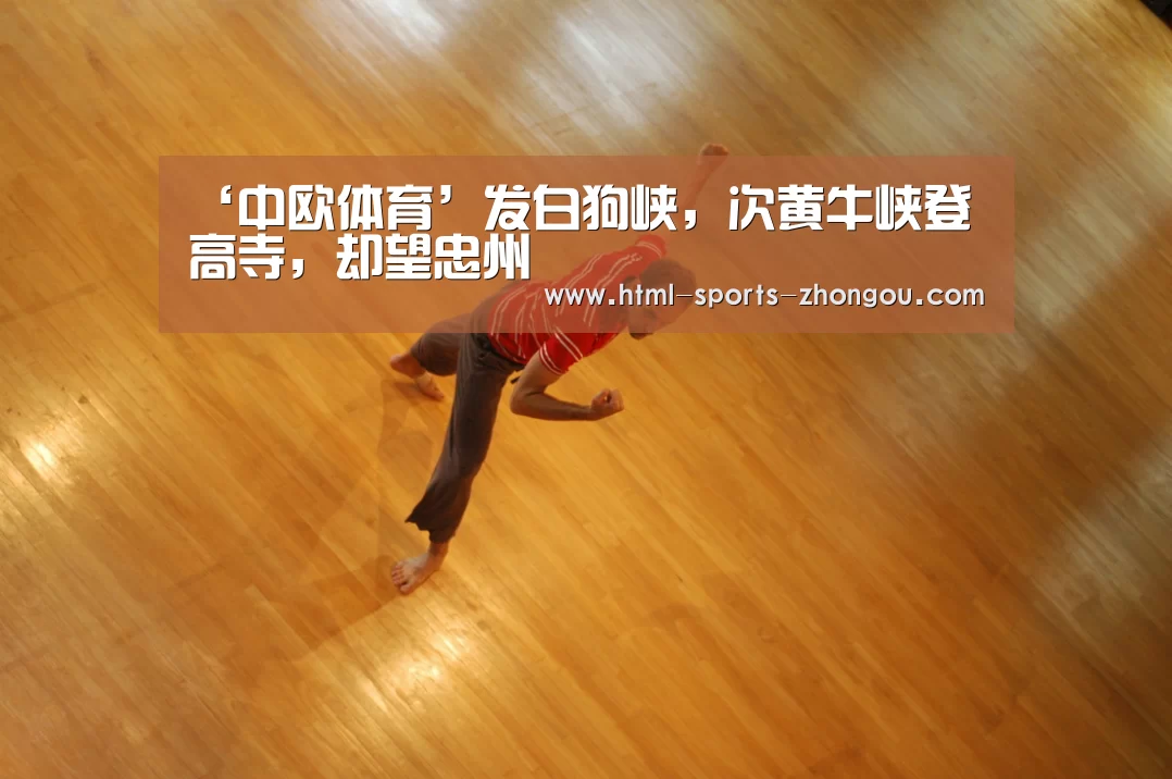 中欧体育平台